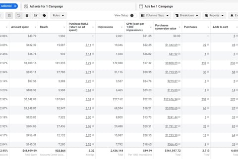 Google Ads performance data table showing campaign metrics including spend, reach, impressions, clicks, and conversion value