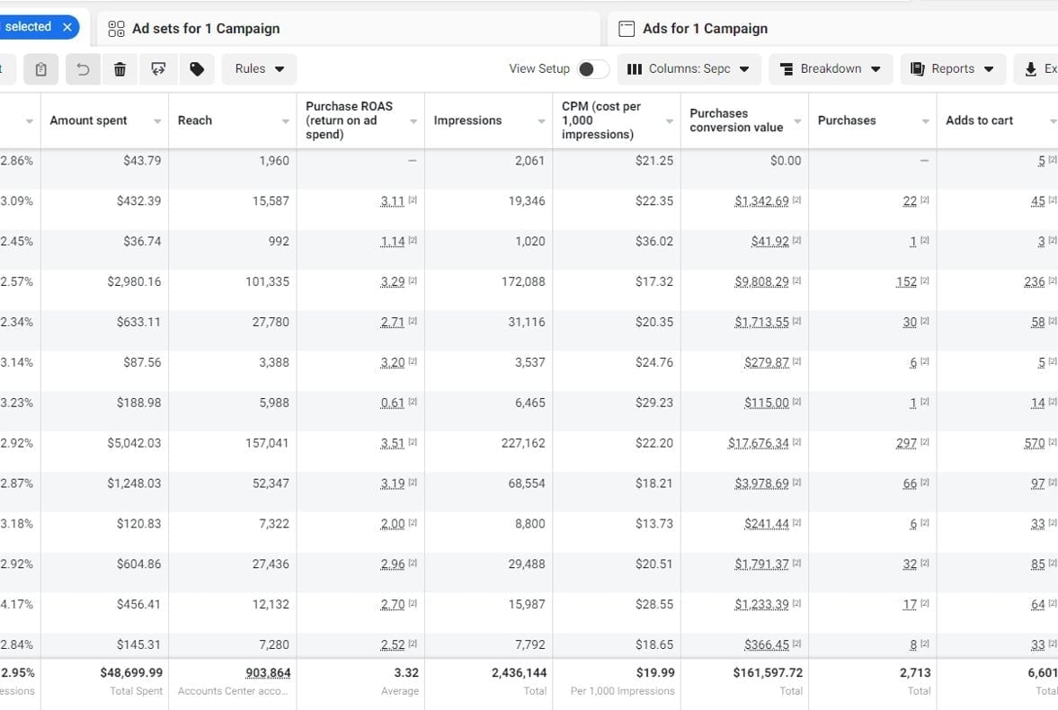 Meta Ads Manager ad set table showing spend, reach, impressions, clicks, CTR, average CPC, conversions, and cost per conversion